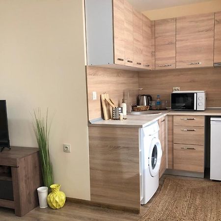 Luxury Apartment 2 Free Underground Parking パザルジク エクステリア 写真