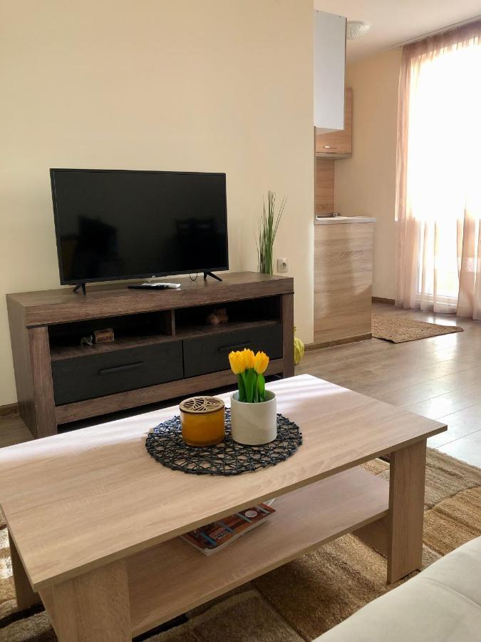 Luxury Apartment 2 Free Underground Parking パザルジク エクステリア 写真
